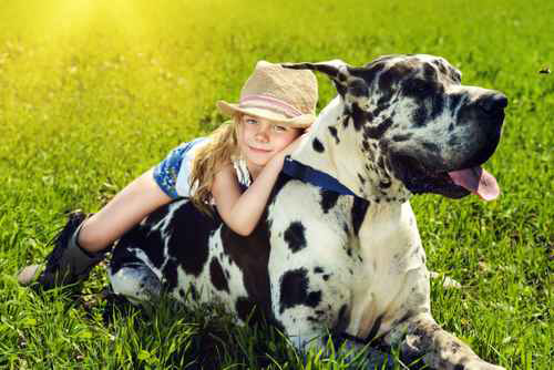 Fort Worth Veterinary Specialty cowgirl with dog