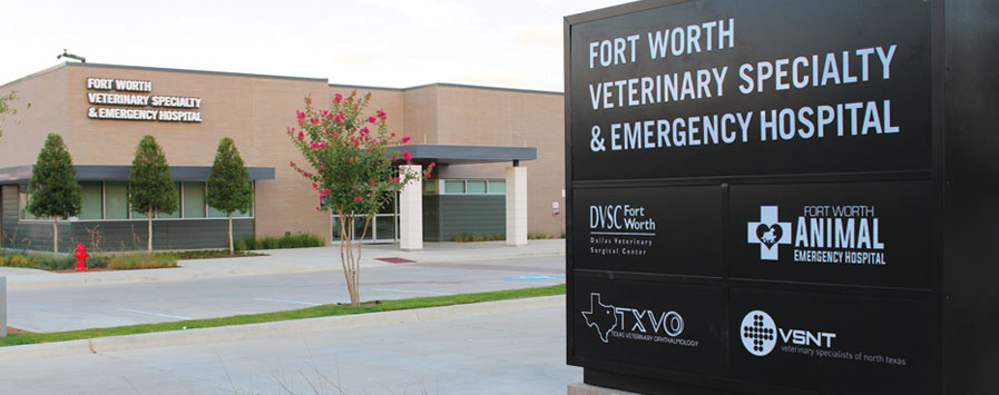 Fort Worth Veterinary Specialty & Emergency Hospital – Advanced  multi-specialty veterinary facility serving Fort Worth and West Texas pets